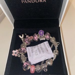 Pandora bracelet: charm bracelet